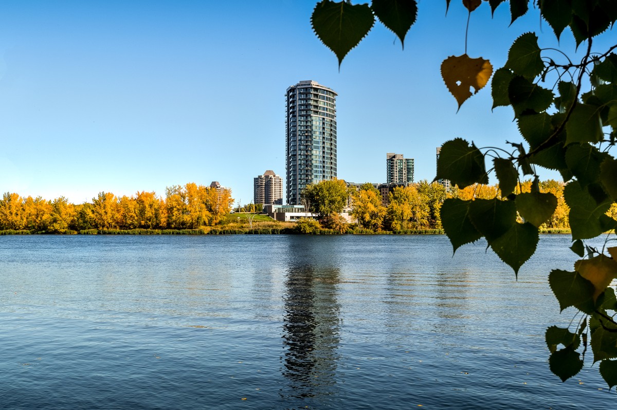 La formation HACCP obligatoire au Québec